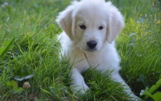 告别桌面拥挤症！电竞桌二段式电脑桌深度测评，分区收纳、升降随心，这才是电竞党刚需？