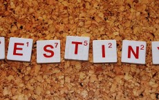 华为垃圾还是小米垃圾？别让站队思维偷走了你的判断力