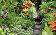 华为手机桌面布局修改，打造你的个性化专属空间