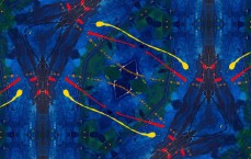 火花动漫测评官网入口手机版，探索二次元世界的精彩窗口,火花动漫测评官网入口手机版下载