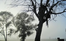 为什么想进华为，在奋斗的土壤上，与时代共成长