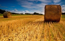 华为光伏产业，以数字技术赋能绿色能源未来