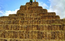 华为5级专家，技术金字塔尖的攀登者与行业灯塔