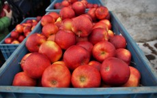 测评二手苹果4，性能与价值的博弈