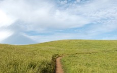 华为手机桌面字体颜色，个性与实用的视觉表达