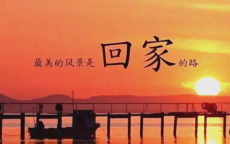 回家的渴望，离家的不舍[成年人的不易]