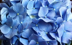 方寸之间的秩序美学，华为手机桌面黑色方块背后的设计哲学