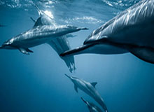 中春优德3C影音专营店耳机测评，音乐随行，音质卓越