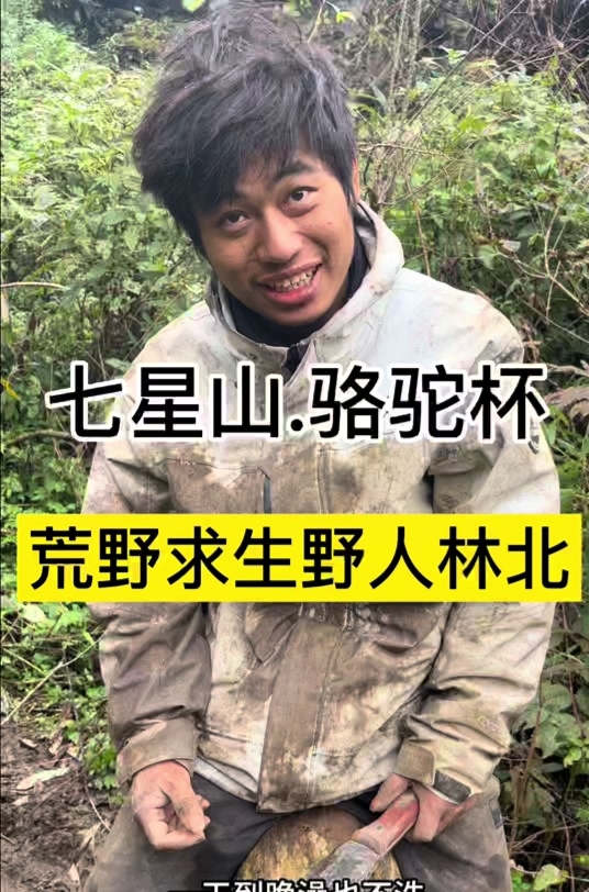 IMG_20251124_170415.jpg IMG_20251124_170415.jpg